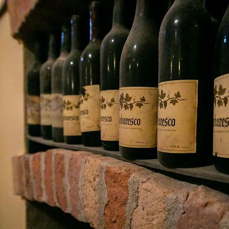 Ca Trifolera Barbaresco - Romantico Cascinale Con Antica Cantina Nel Cuore Delle Langhe - Degustazione Vini Nella Nostra Cantina מראה חיצוני תמונה