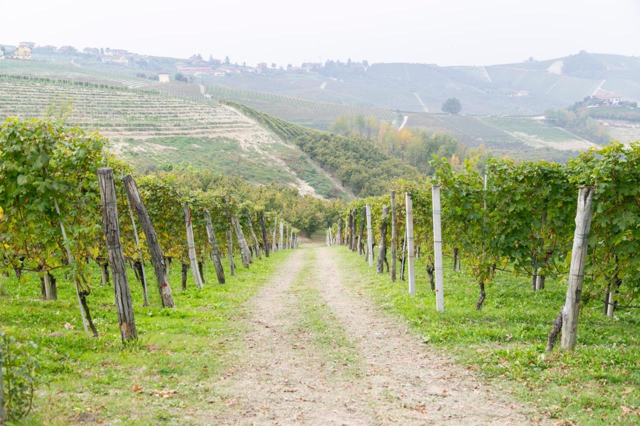 Ca Trifolera Barbaresco - Romantico Cascinale Con Antica Cantina Nel Cuore Delle Langhe - Degustazione Vini Nella Nostra Cantina מראה חיצוני תמונה