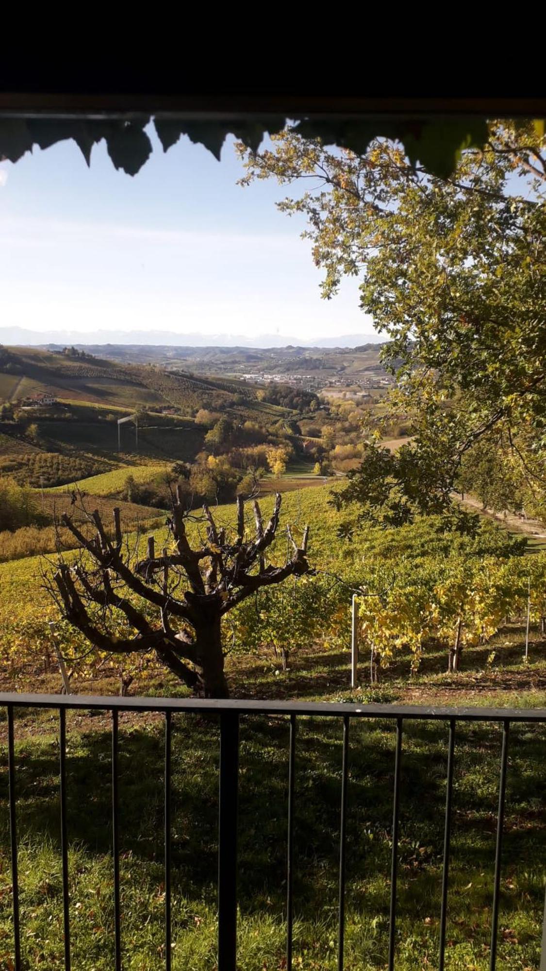 Ca Trifolera Barbaresco - Romantico Cascinale Con Antica Cantina Nel Cuore Delle Langhe - Degustazione Vini Nella Nostra Cantina מראה חיצוני תמונה