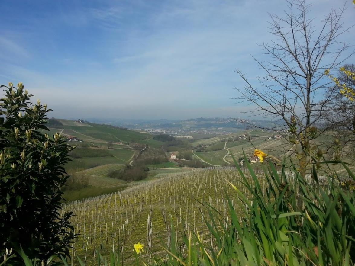 Ca Trifolera Barbaresco - Romantico Cascinale Con Antica Cantina Nel Cuore Delle Langhe - Degustazione Vini Nella Nostra Cantina מראה חיצוני תמונה