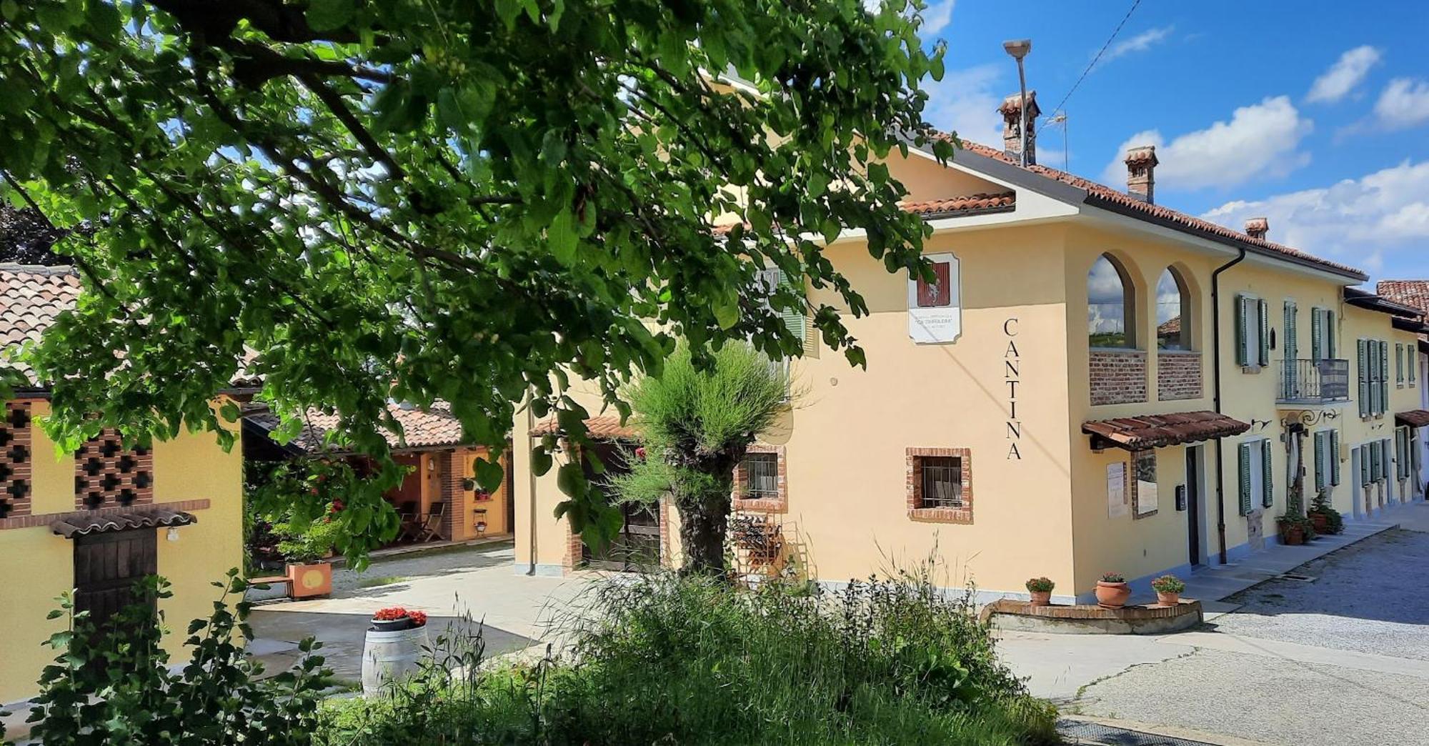 Ca Trifolera Barbaresco - Romantico Cascinale Con Antica Cantina Nel Cuore Delle Langhe - Degustazione Vini Nella Nostra Cantina מראה חיצוני תמונה