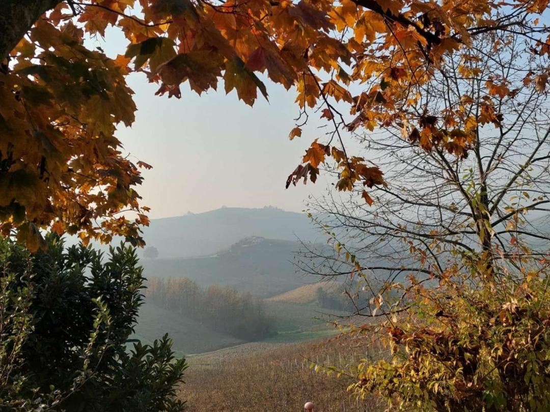 Ca Trifolera Barbaresco - Romantico Cascinale Con Antica Cantina Nel Cuore Delle Langhe - Degustazione Vini Nella Nostra Cantina מראה חיצוני תמונה